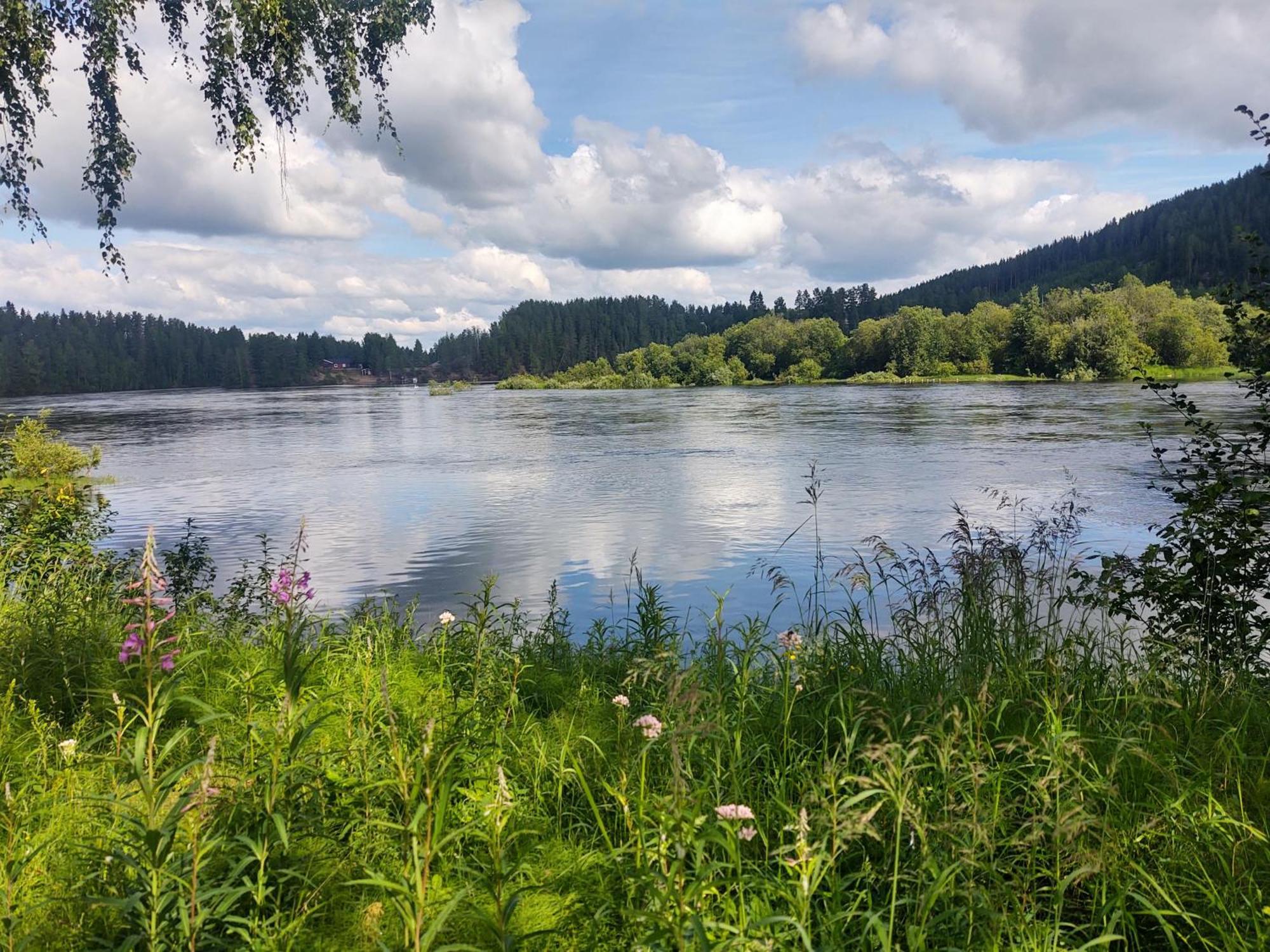 Selholmens Camping Älvsbyn Dış mekan fotoğraf